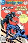 wildcat vs panther